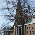 IMG 1557