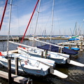 Dümmer See